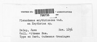 Image Associated With the Occurence